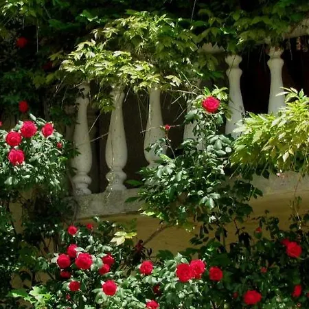 Terra Mirna - Urlaub Fuer Sinne בית נופש