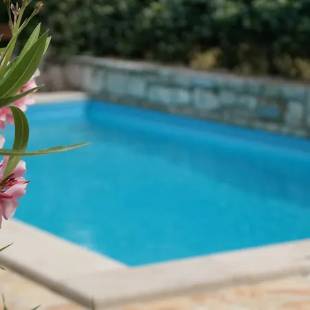 Terra Mirna Holiday home