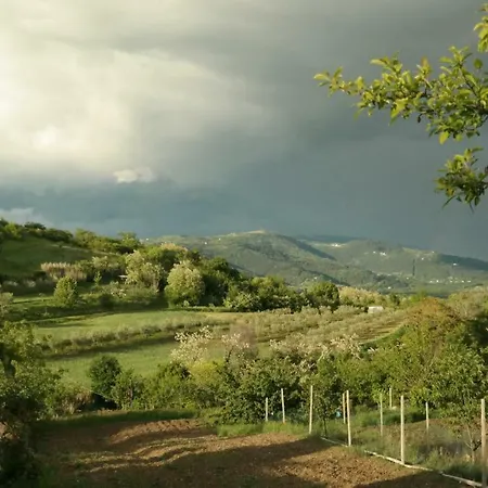 Terra Mirna